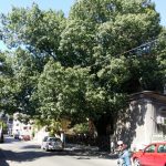 Strada Silvestru din Bucuresti, cu Biserica Silvestru si Restaurantul Il Destino