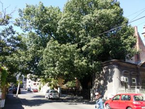 Strada Silvestru din Bucuresti, cu Biserica Silvestru si Restaurantul Il Destino