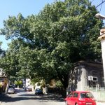 Strada Silvestru din Bucuresti, cu Biserica Silvestru si Restaurantul Il Destino