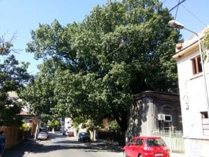 Strada Silvestru din Bucuresti, cu Biserica Silvestru si Restaurantul Il Destino