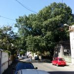 Strada Silvestru din Bucuresti, cu Biserica Silvestru si Restaurantul Il Destino