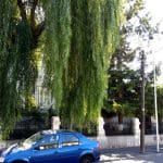 Strada Silvestru din Bucuresti, cu Biserica Silvestru si Restaurantul Il Destino
