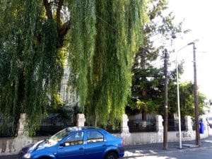 Strada Silvestru din Bucuresti, cu Biserica Silvestru si Restaurantul Il Destino