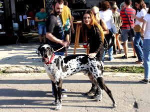 Street Food Festival la Romexpo, Bucuresti