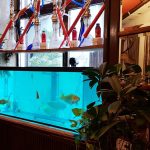 Terasa Doamnei, restaurant traditional romanesc in Centrul Vechi