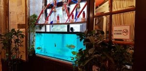 Terasa Doamnei, restaurant traditional romanesc in Centrul Vechi