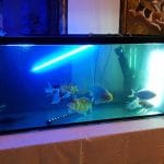 Terasa Doamnei, restaurant traditional romanesc in Centrul Vechi