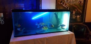 Terasa Doamnei, restaurant traditional romanesc in Centrul Vechi