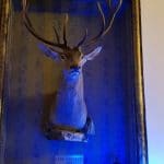 Terasa Doamnei, restaurant traditional romanesc in Centrul Vechi