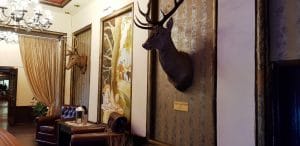 Terasa Doamnei, restaurant traditional romanesc in Centrul Vechi