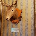 Terasa Doamnei, restaurant traditional romanesc in Centrul Vechi