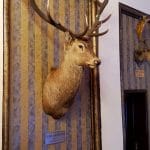 Terasa Doamnei, restaurant traditional romanesc in Centrul Vechi