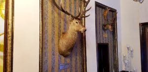 Terasa Doamnei, restaurant traditional romanesc in Centrul Vechi