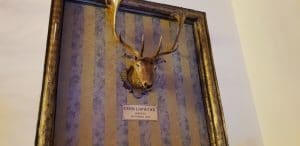 Terasa Doamnei, restaurant traditional romanesc in Centrul Vechi