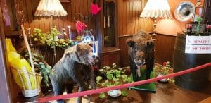 Terasa Doamnei, restaurant traditional romanesc in Centrul Vechi