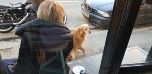 Two Miniutes Floreasca - noile cafenele ale Bucurestiului