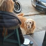 Two Miniutes Floreasca - noile cafenele ale Bucurestiului