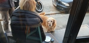 Two Miniutes Floreasca - noile cafenele ale Bucurestiului