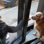 Two Miniutes Floreasca - noile cafenele ale Bucurestiului