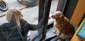 Two Miniutes Floreasca - noile cafenele ale Bucurestiului