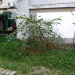 Contego Cafe, cafenea studenteasca la Piata Kogalniceanu in Bucuresti