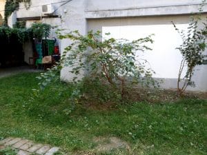 Contego Cafe, cafenea studenteasca la Piata Kogalniceanu in Bucuresti