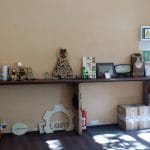 Contego Cafe, cafenea studenteasca la Piata Kogalniceanu in Bucuresti