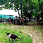 Contego Cafe, cafenea studenteasca la Piata Kogalniceanu in Bucuresti