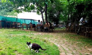 Contego Cafe, cafenea studenteasca la Piata Kogalniceanu in Bucuresti
