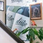 Grand Opening - Travel Party cu vinuri Kvint din Trasnistria - La Estancia