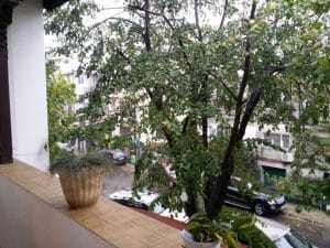 Hooga, restaurant cu bucatarie europeana moderna pe Theodor Iliescu in Bucuresti