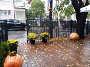 Hooga, restaurant cu bucatarie europeana moderna pe Theodor Iliescu in Bucuresti