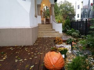 Hooga, restaurant cu bucatarie europeana moderna pe Theodor Iliescu in Bucuresti