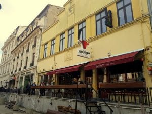 Interviu Dragos Panait, patronul Red Angus