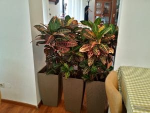 Nonna Mia, restaurant italian traditional la Piata Sfantul Stefan in Bucuresti