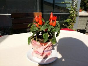 Osteria Romana, restaurant italian pe Schitu Magureanu, la Cismigiu