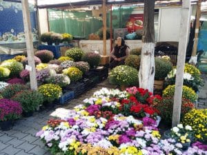 Pe la Piata Domenii, cu Taverna Marelui Paharnic si Barka Saffron