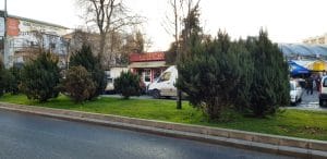 Piata Domenii, cu restaurantele Murad, Sabatini, Fench Bakery si altele