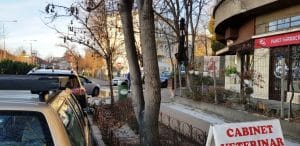 Piata Domenii, cu restaurantele Murad, Sabatini, Fench Bakery si altele