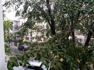 Strada Theodor Iliescu, in jurul restaurantului Hooga din Bucuresti