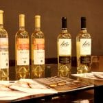 Brunch la Hilton cu vinuri Kvint din Transnistria, food & wine pairing