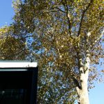 Coffe Bike, cafeneaua boema cu terasa la British Council in Bucuresti