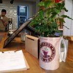 Dose Cafe, cafenea pe Calea Dorobantilor in Bucuresti