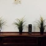 Fabrica de Mici, restaurant cu bucatarie urbana in Luigi Cazavillan