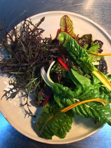 Interviu Restocracy cu Chef Alexandru Iacob de la restaurantul Kane din Bucuresti