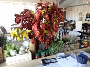 Maize, restaurant farm to table Chef Alexandru Antal