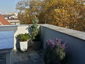 Maize, restaurant cu bucatarie romaneasca creativa, farm to table