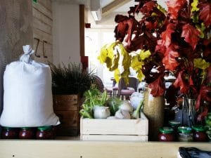 Maize, restaurant farm to table Chef Alexandru Antal