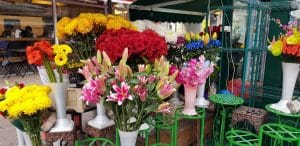 Piata Dorobantilor si Radu Beller