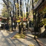 Snagov Club, restaurant, terasa si salon de evenimente pe malul Lacului Snagov